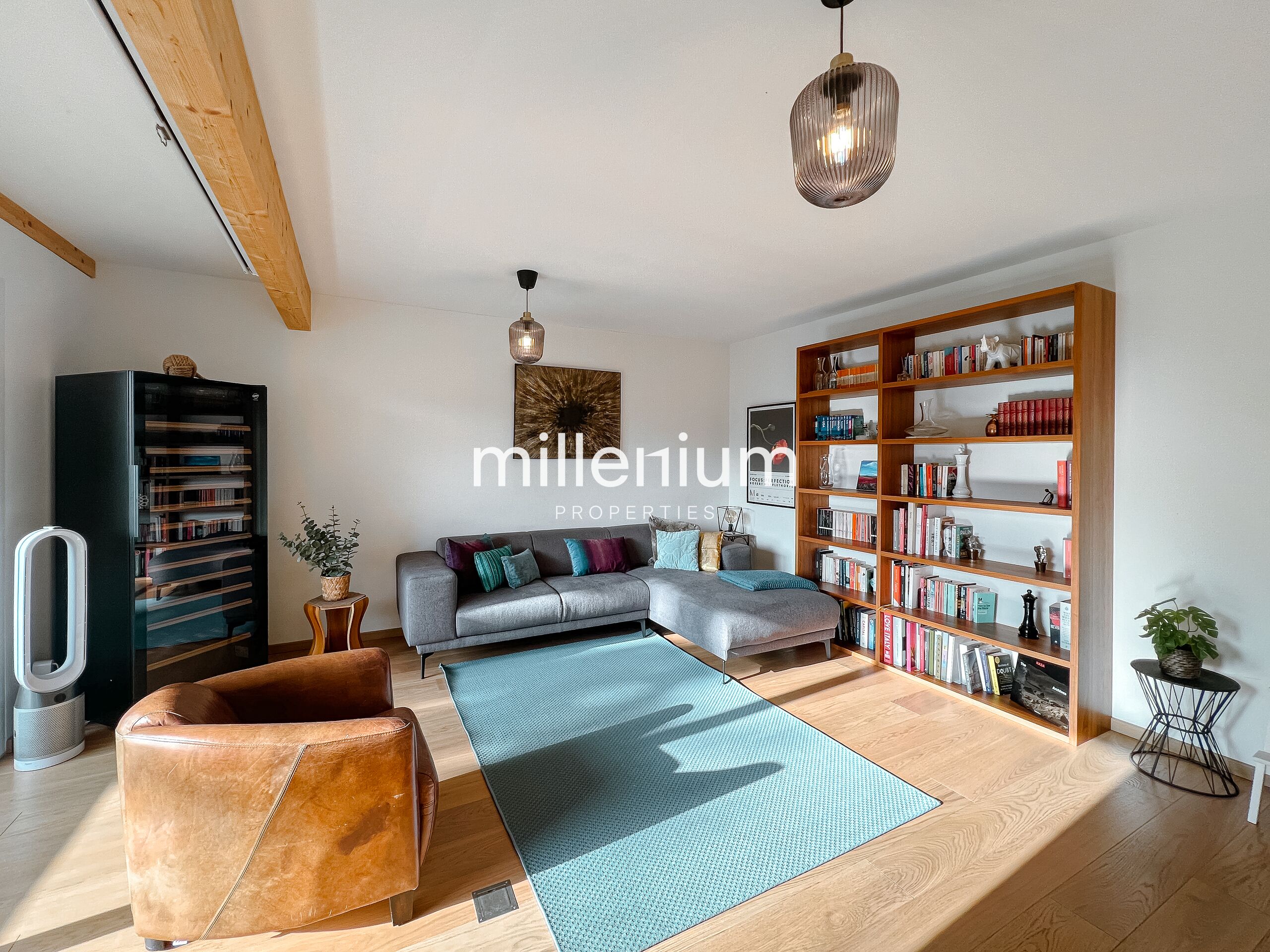 Magnifique duplex à Vésenaz