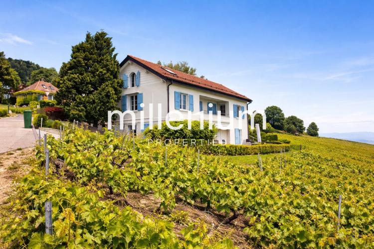 Appartement d’exception avec terrasse et vue panoramique sur le lac