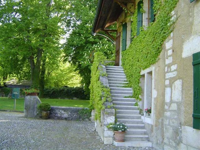 Exclusif : Superbe Domaine Au Cœur Des Vignobles