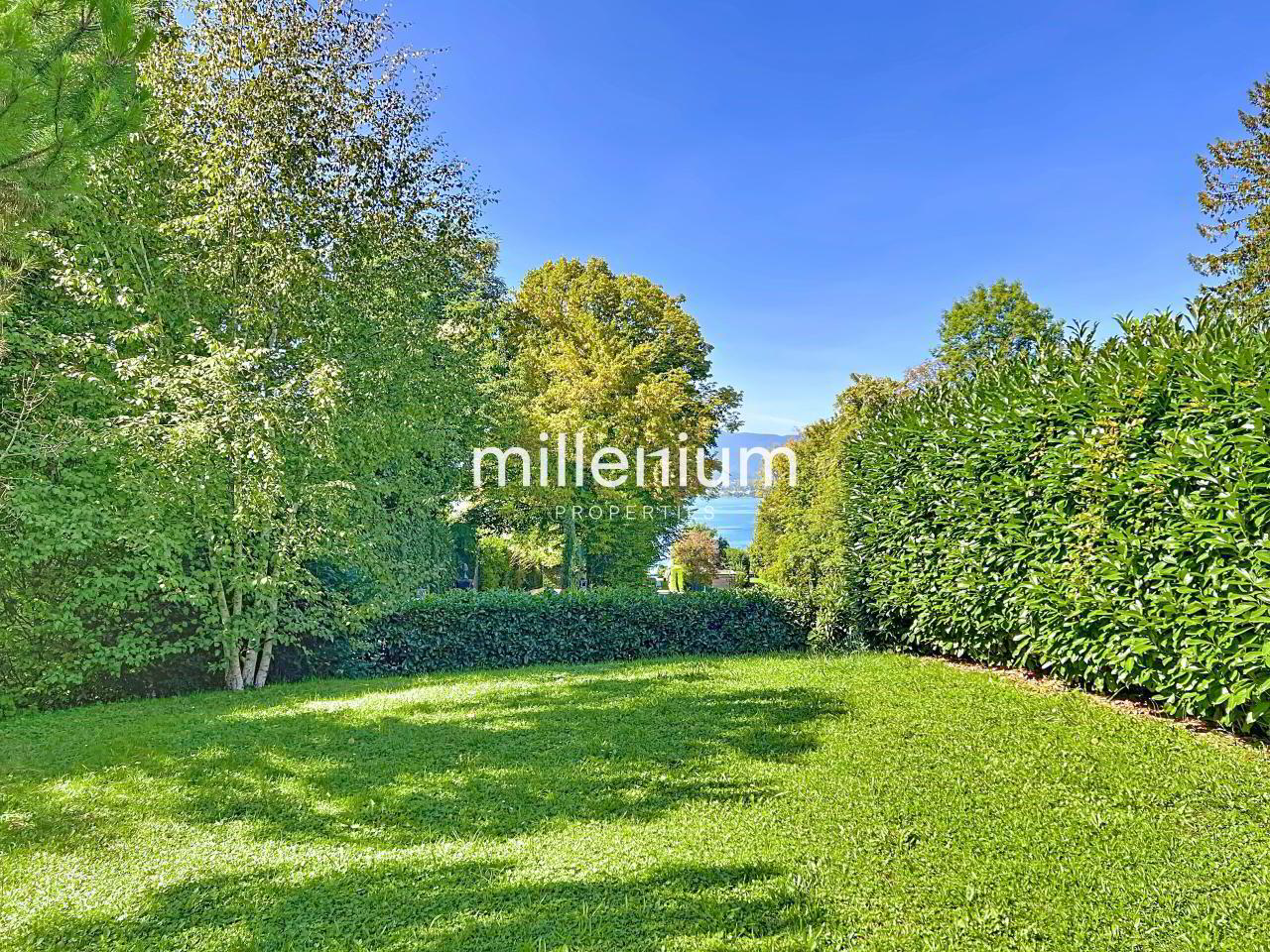 fjDjB_lookmove_237715912_5.jpg