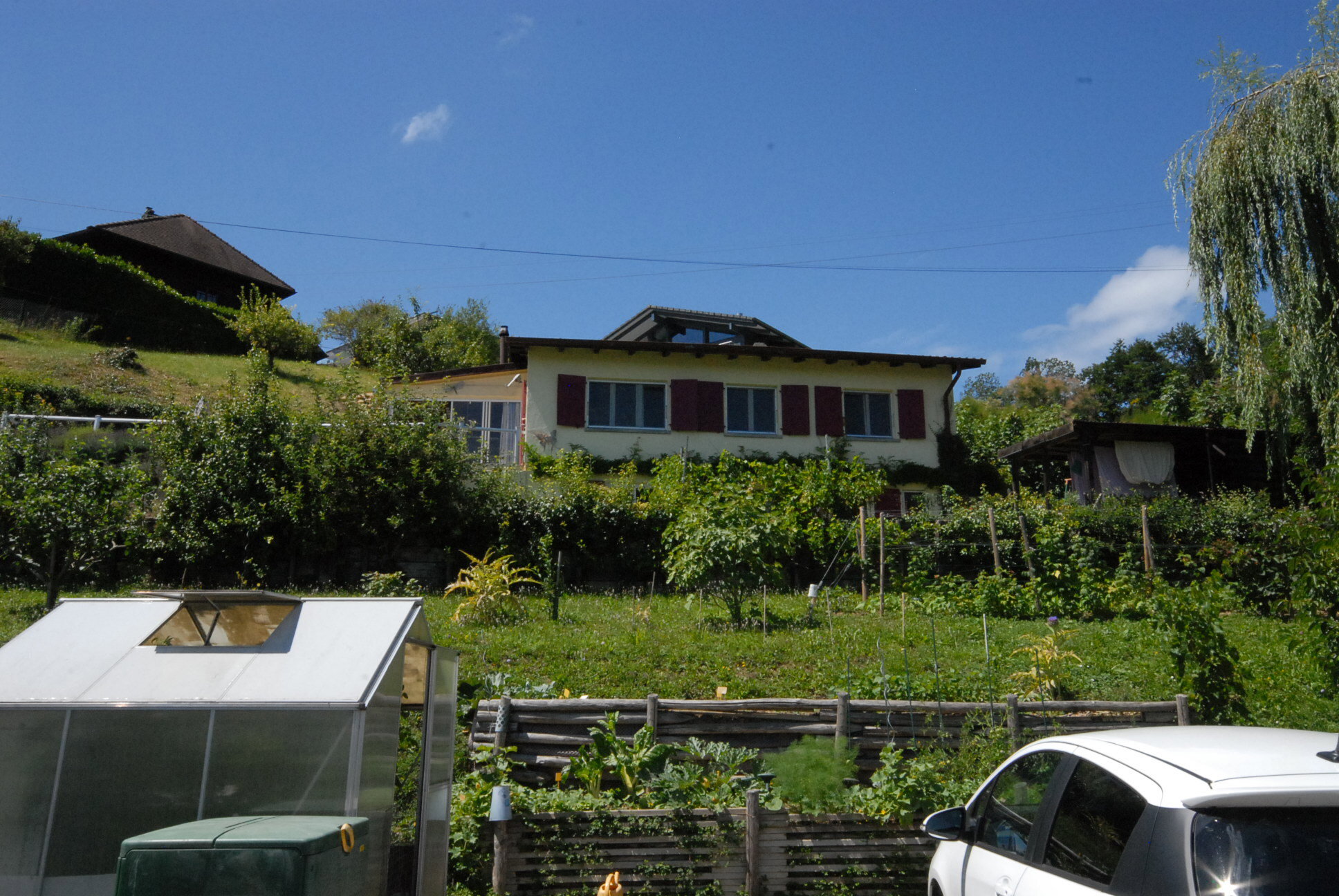 gHbf9_lookmove_235952470_3.jpg