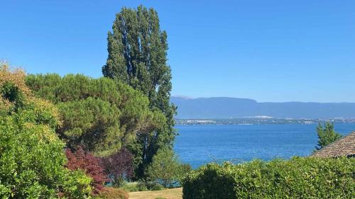 Villa d'architecte avec belle vue et accès privatif au lac