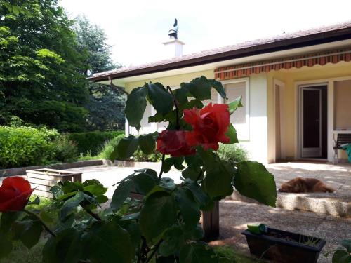 Villa de charme à Commugny