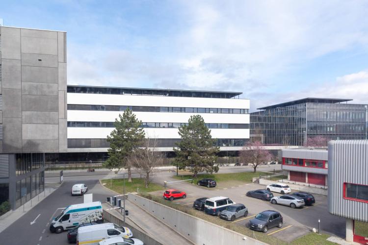 n8BcN_kaban-bien-5178863.jpg
