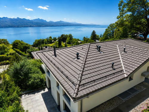 Appartement contemporain au cœur du Lavaux, avec panorama sur le Léman 