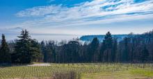 Propriété d’exception avec vue panoramique sur le lac 