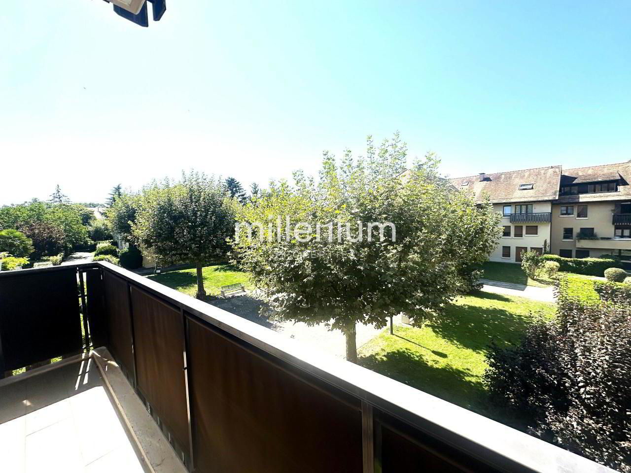 tCS1w_lookmove_237715984_1.jpg