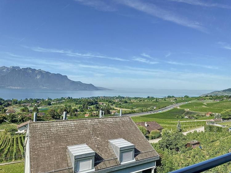 Villa jumelle de 5.5 pièces, avec vue panoramique sur le lac et les Alpes !