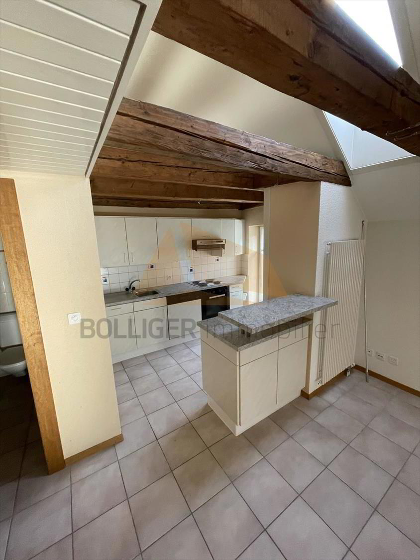 Appartement 4.5 pièces